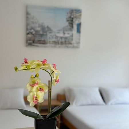 Ceka Apartments Ulcinj Zewnętrze zdjęcie